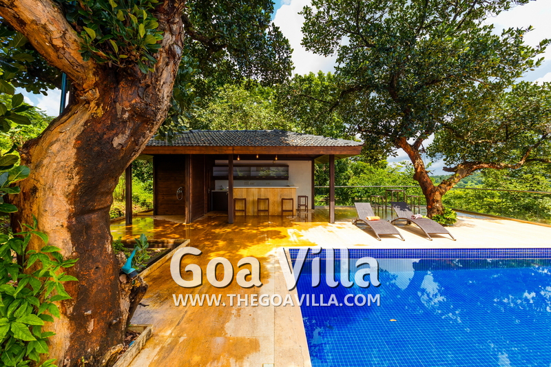 Jungle Villa 3