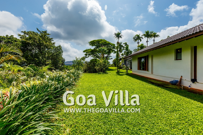 Jungle Villa 3