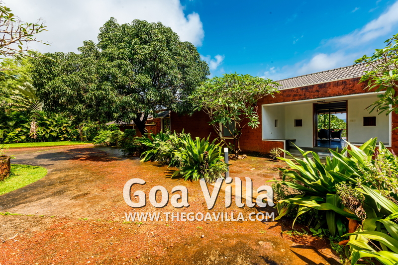 Jungle Villa 3