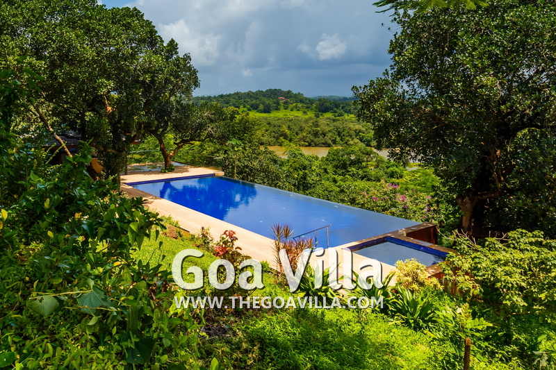 Jungle Villa 3