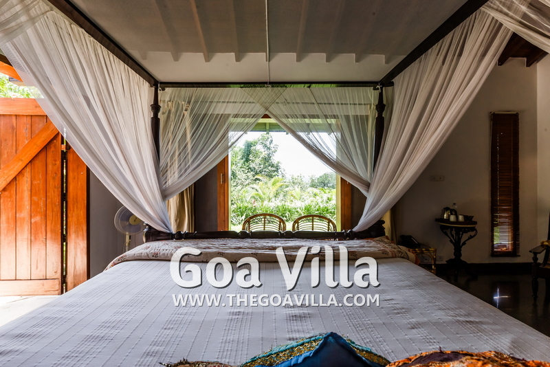 Jungle Villa 3