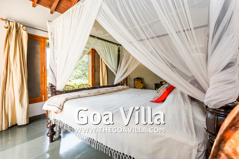 Jungle Villa 3