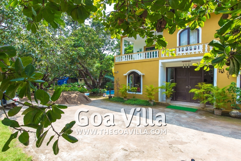 Mango Tree Villa