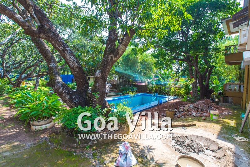 Mango Tree Villa