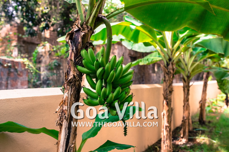 Sapana County Villa
