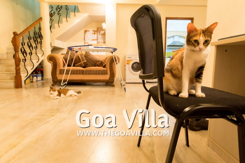 Sapana County Villa