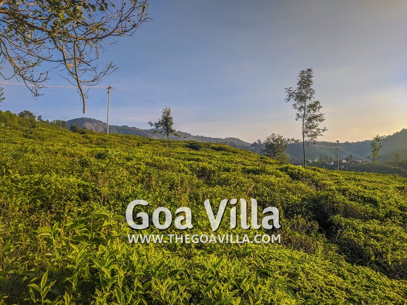Coonoor Villa