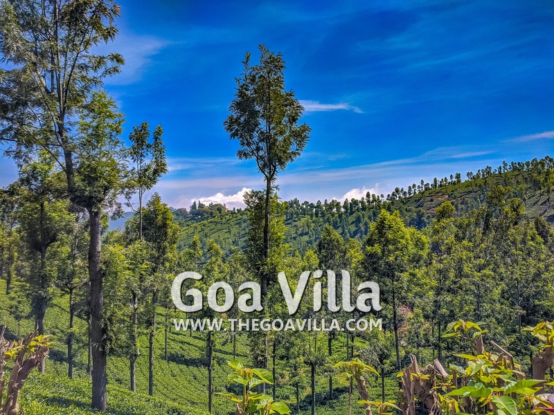 Coonoor Villa