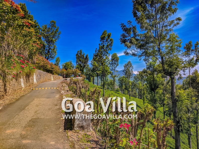 Coonoor Villa