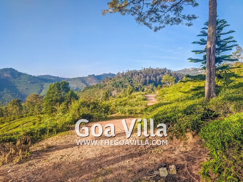 Coonoor Villa