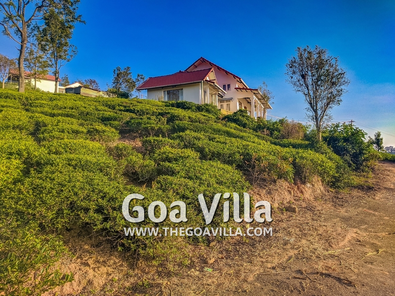 Coonoor Villa