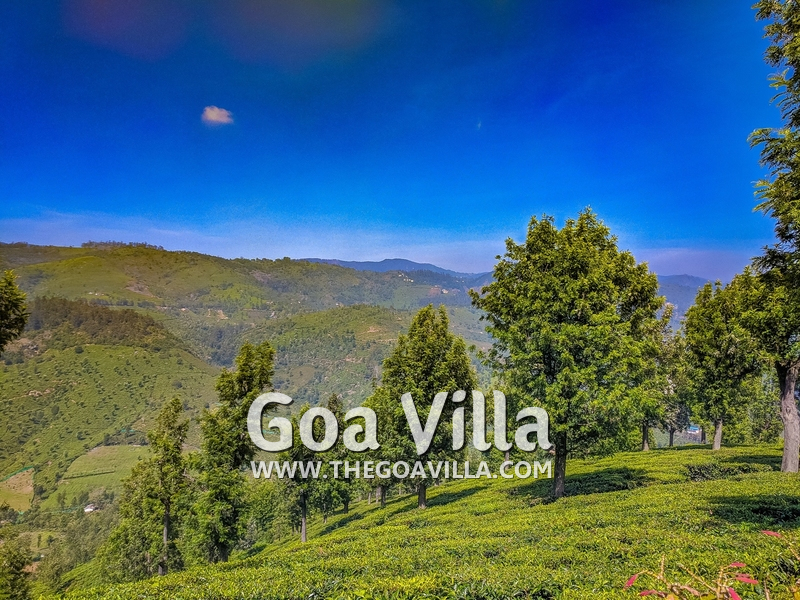 Coonoor Villa