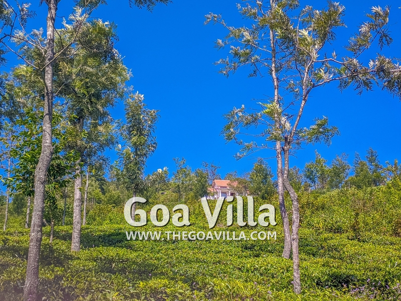 Coonoor Villa