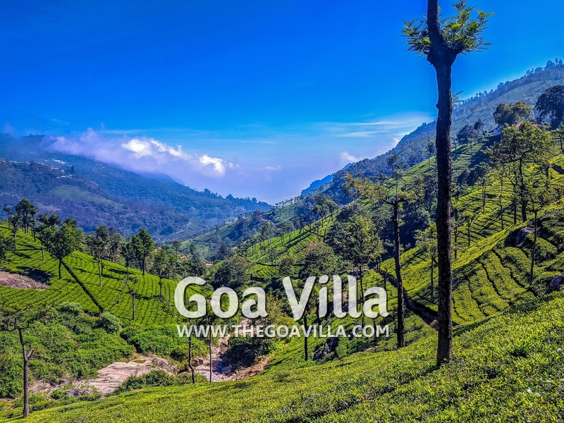 Coonoor Villa