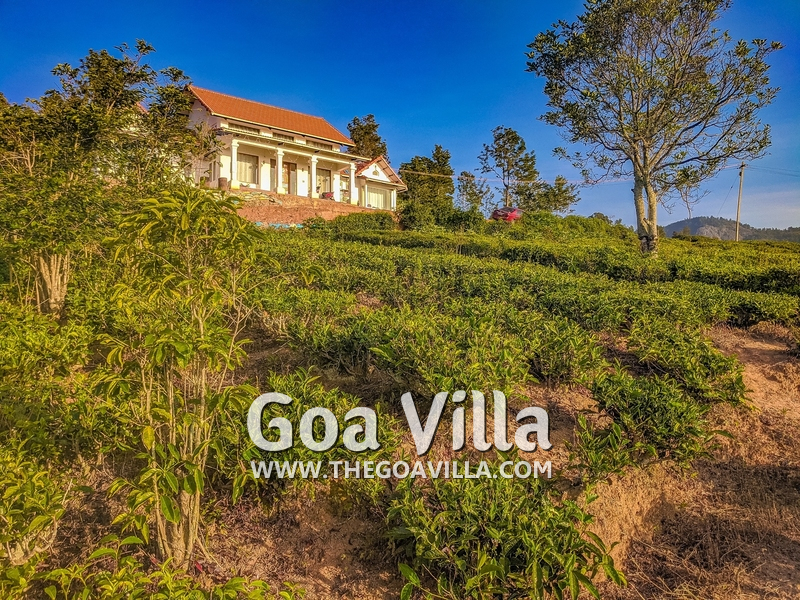 Coonoor Villa