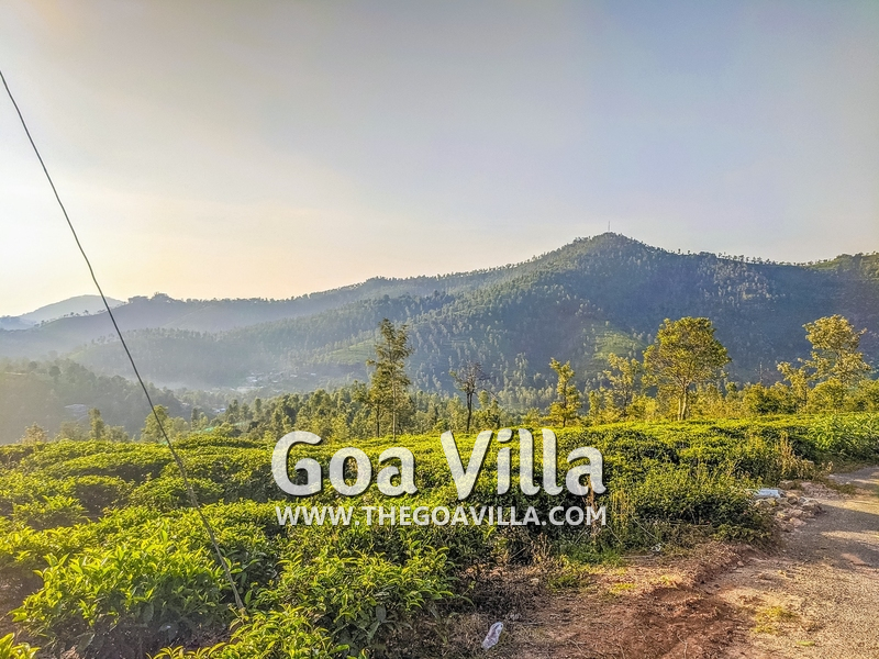 Coonoor Villa