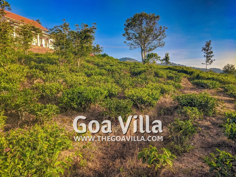 Coonoor Villa
