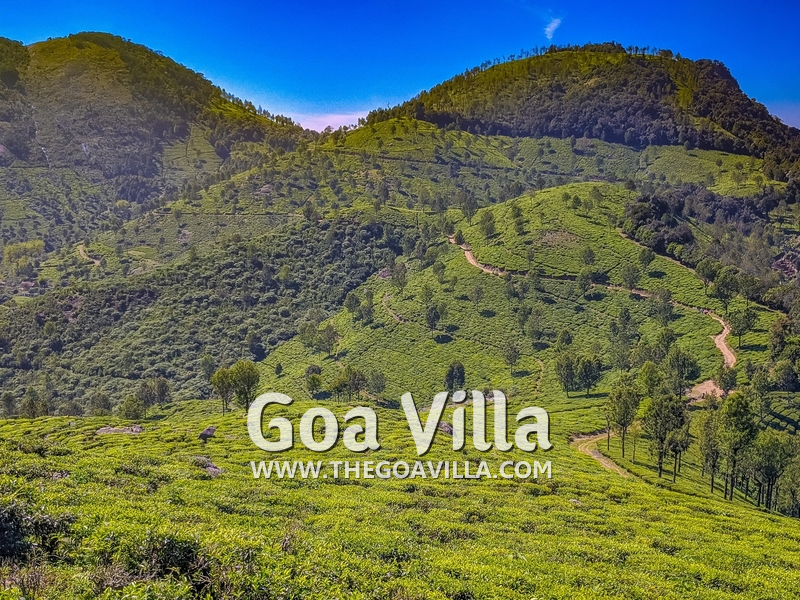 Coonoor Villa
