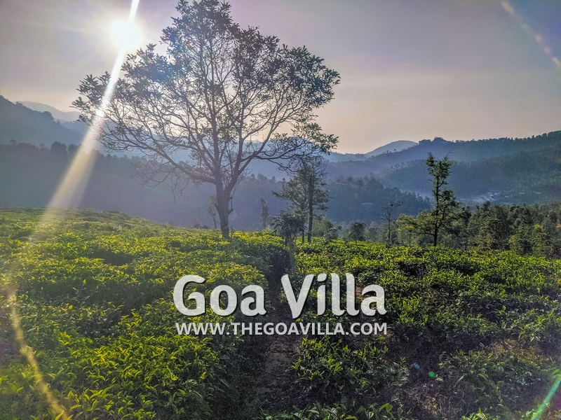 Coonoor Villa