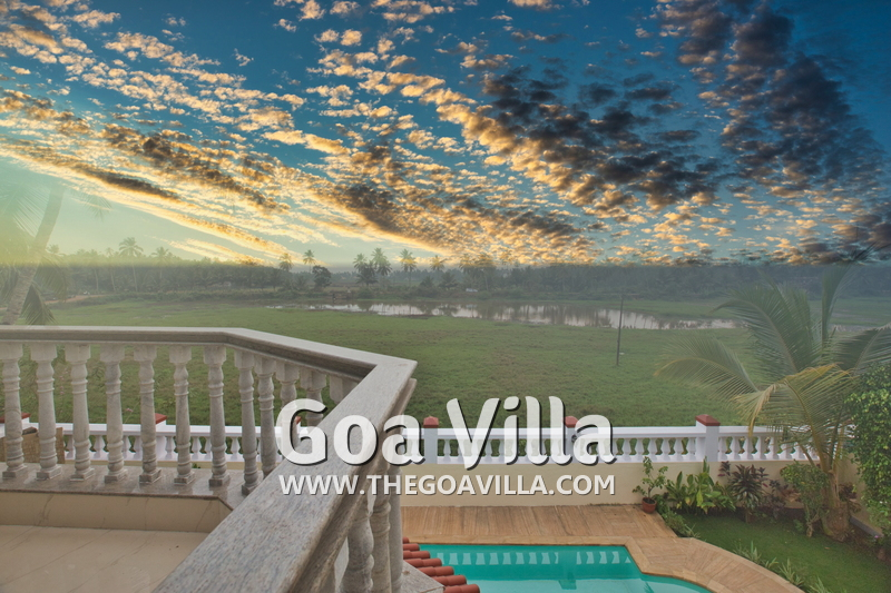 Sunny Hills