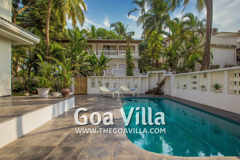 Villa Flamingo