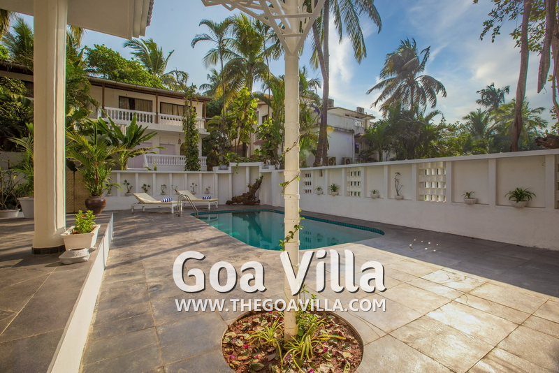 Villa Flamingo