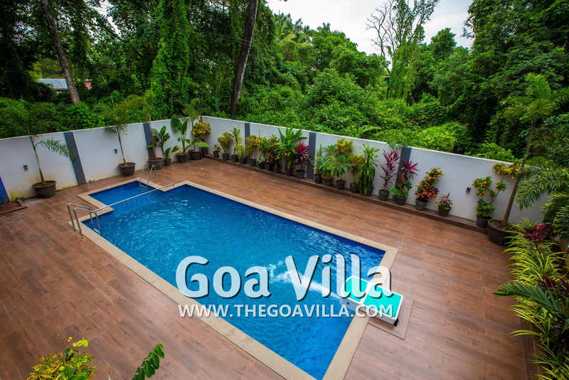 Lavish Villa