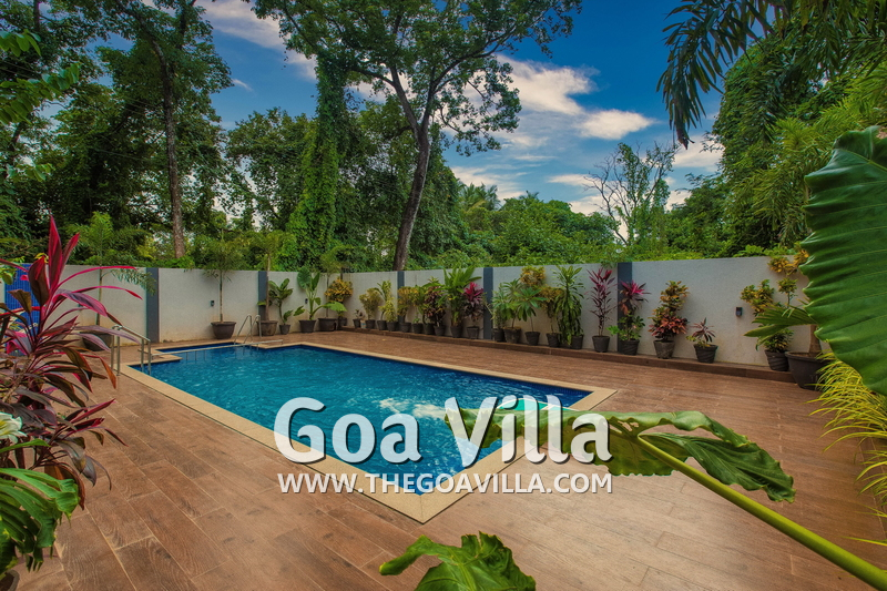 Lavish Villa