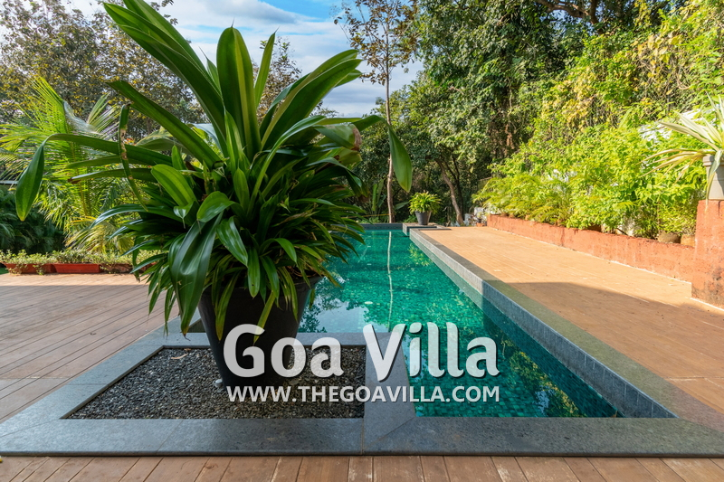 Glass Villa