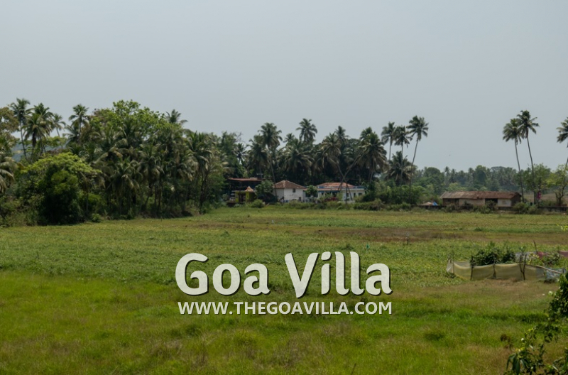 Villa Green Oasis