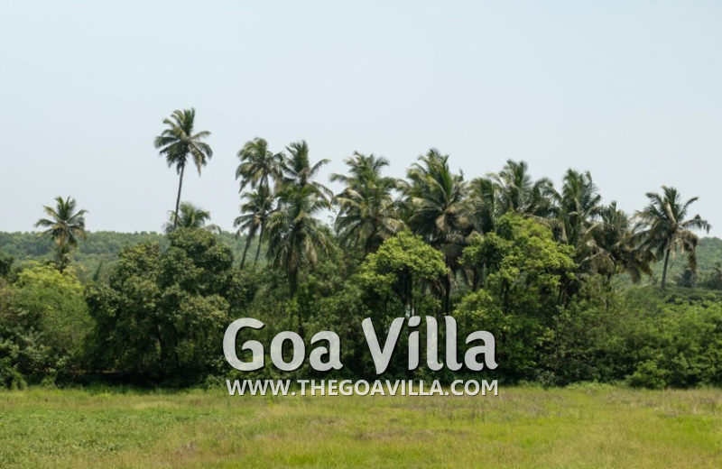 Villa Green Oasis