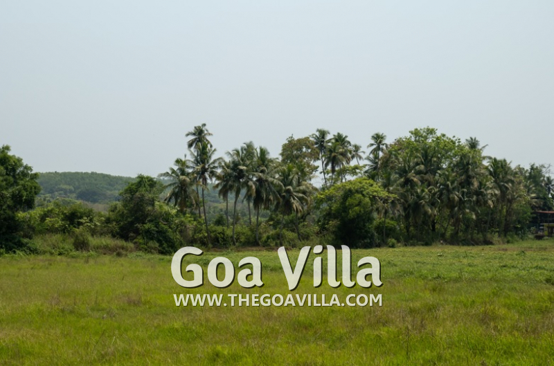 Villa Green Oasis