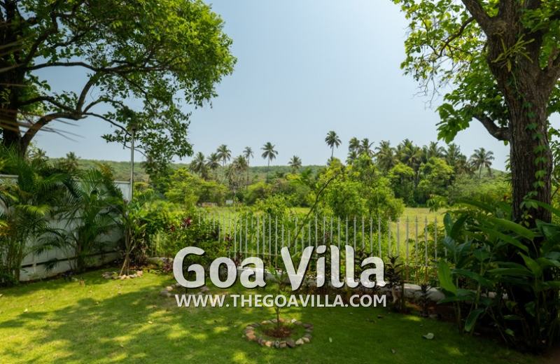 Villa Green Oasis