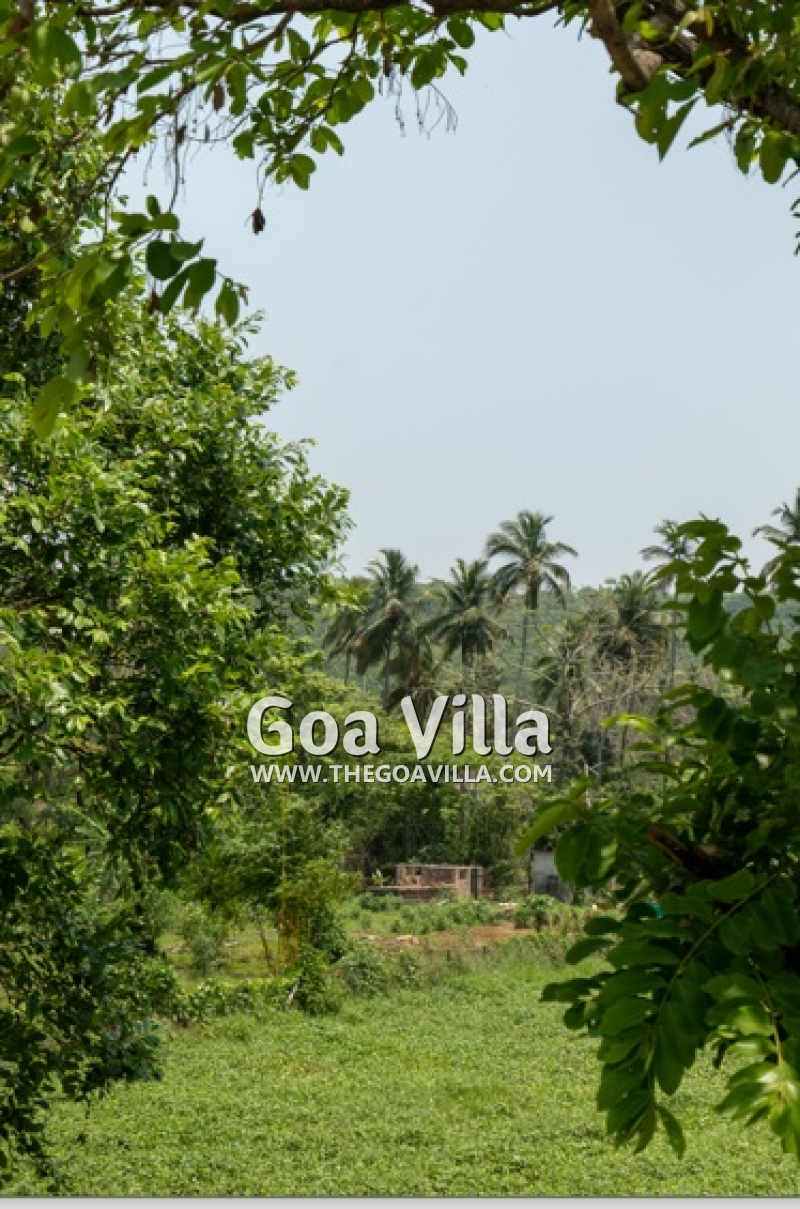 Villa Green Oasis