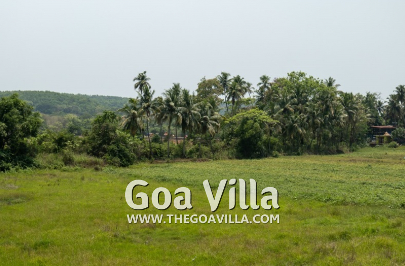 Villa Green Oasis