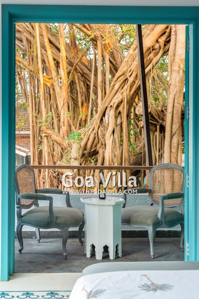 Banyan