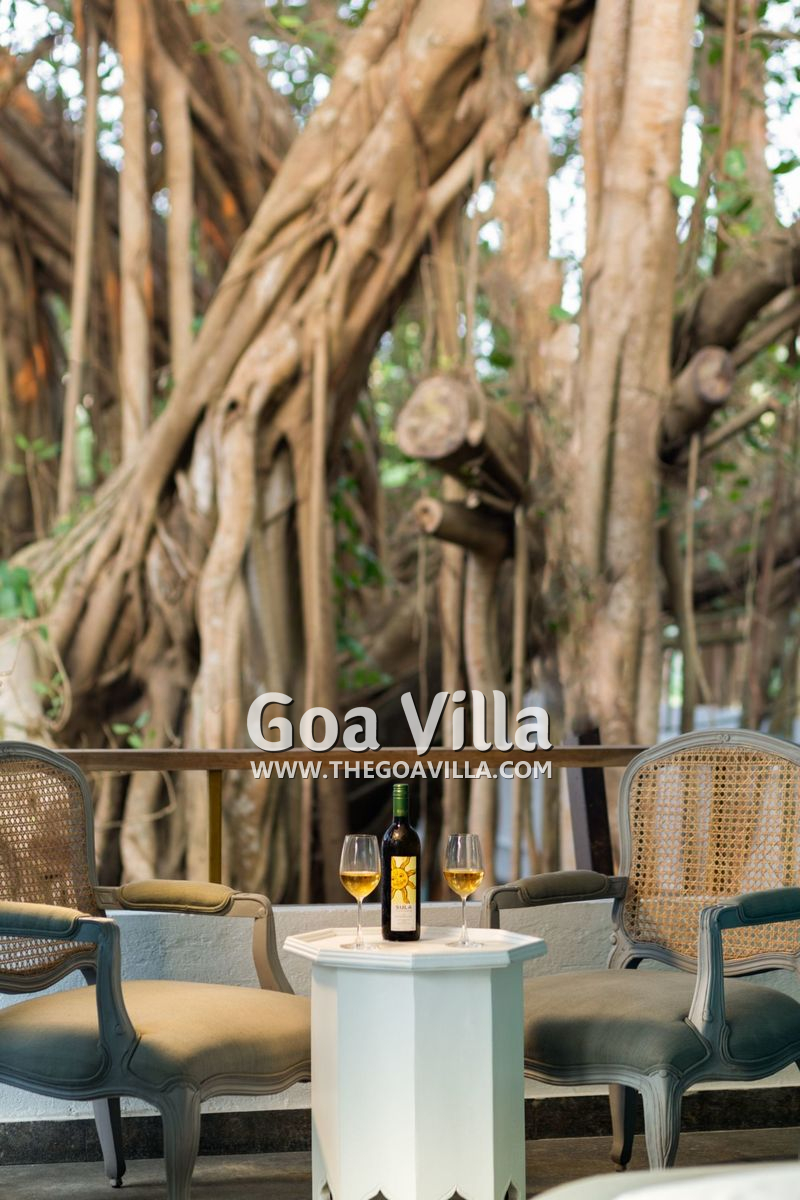 Banyan