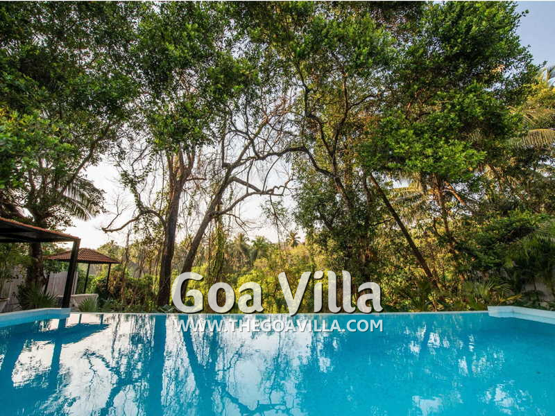 Villa Forest View