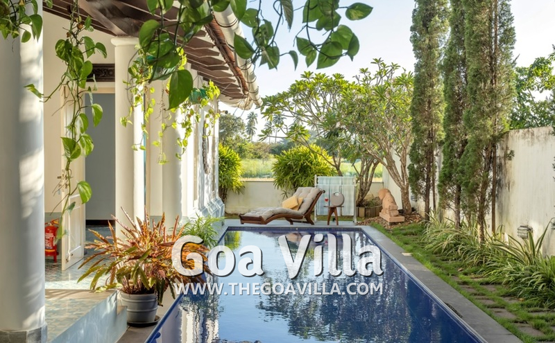 Villa Paddy View