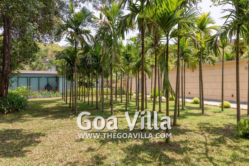 Villa Vibe 3