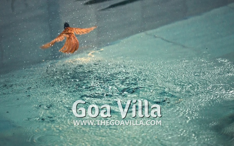 Villa Zoloft