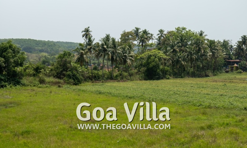 Villa Mi Vida