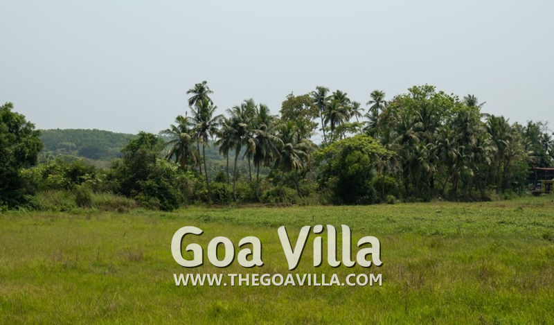 Villa Mi Vida