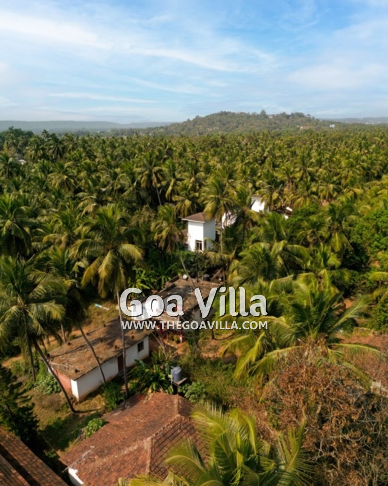 Villa Archangela