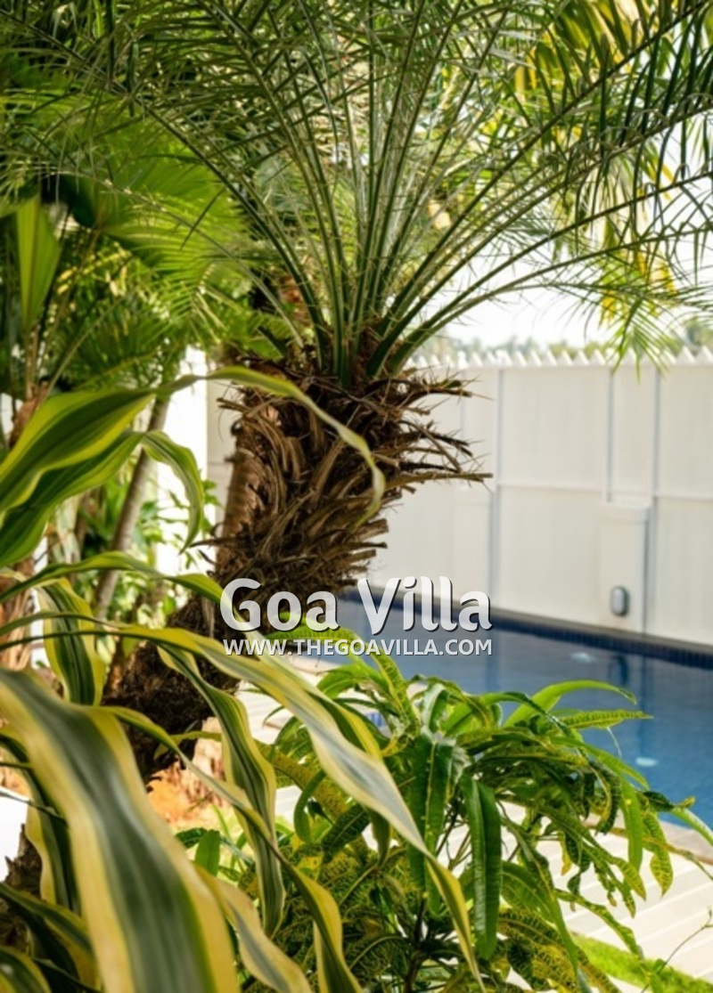 Villa Archangela