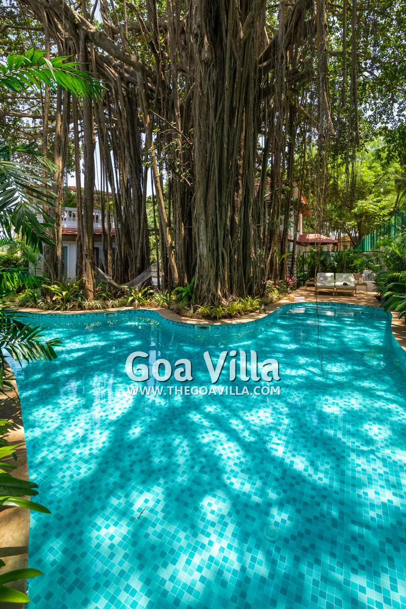 Villa Serene Heaventree