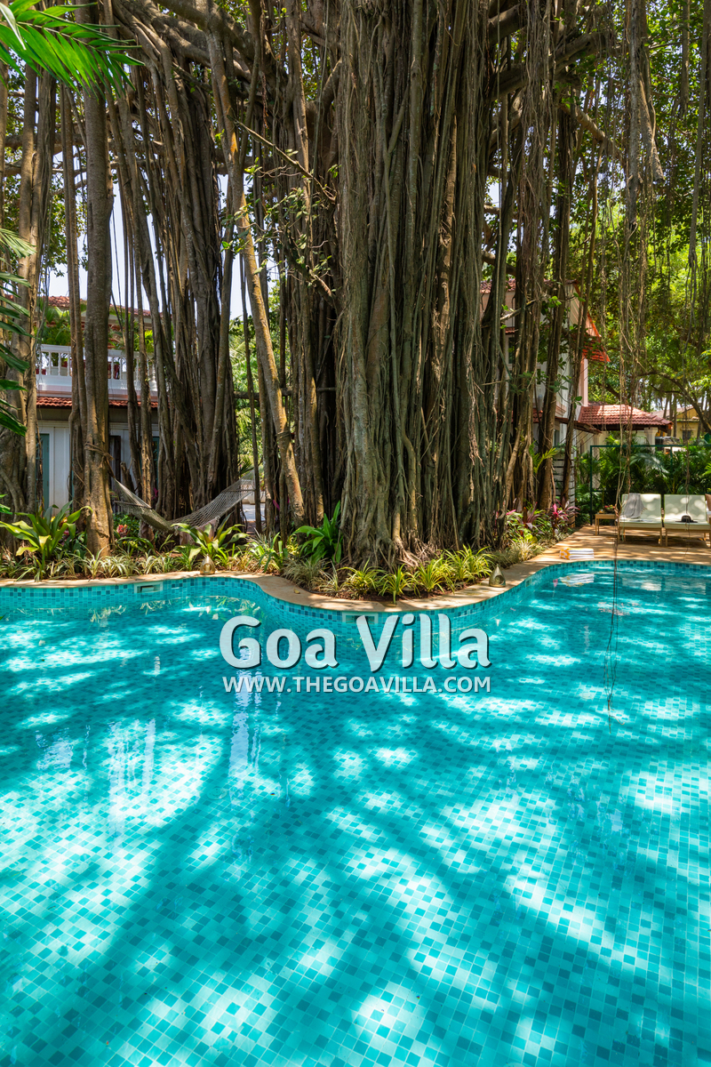 Villa Serene Heaventree