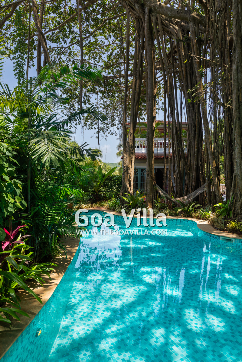 Villa Serene Heaventree