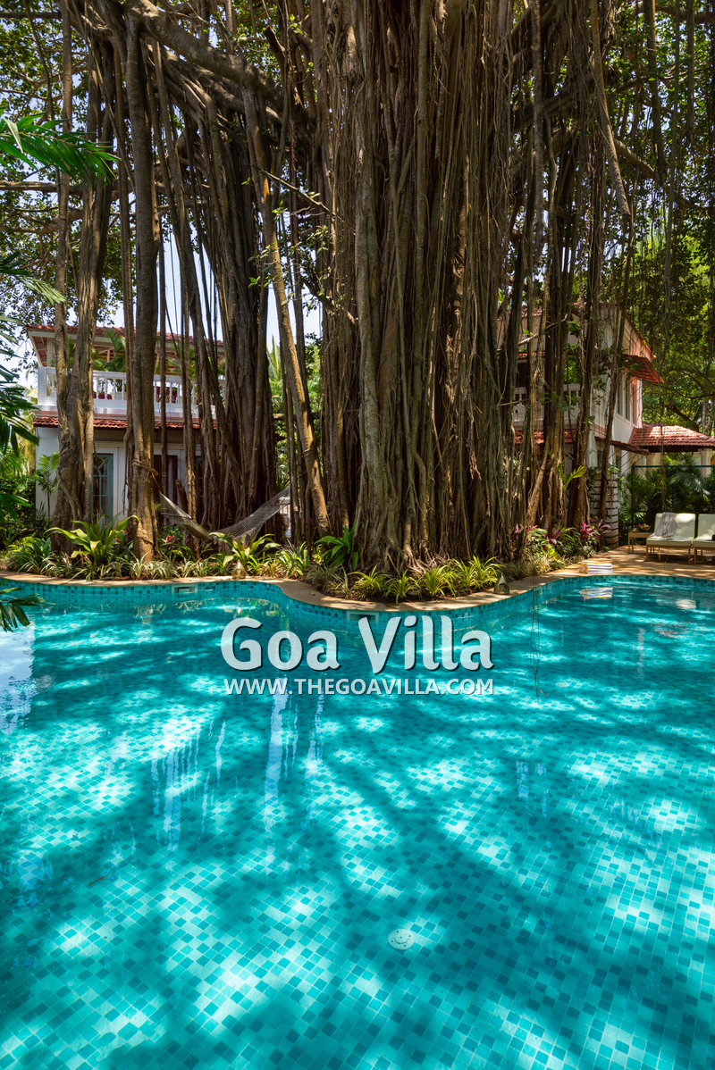 Villa Serene Heaventree