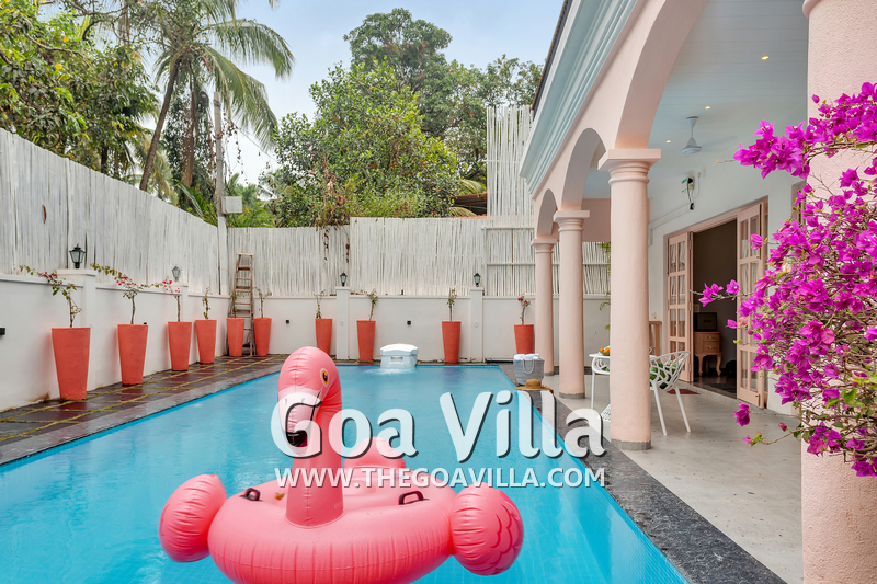 Villa Flamingo